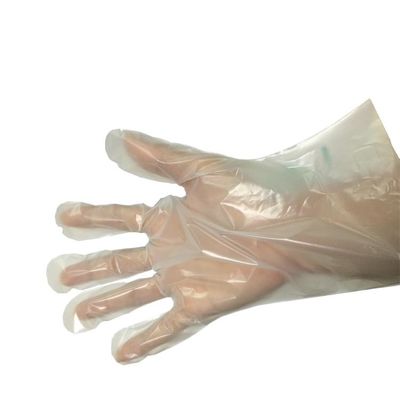 200 Micron 100% Sarung Tangan Sekali Pakai Biodegradable Kompos