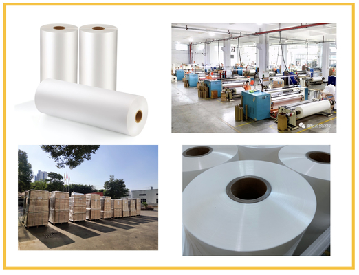 100MM - 2200MM Lebar Cat Resistant Coating Film Dengan 100% Transparansi