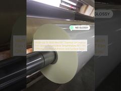 Lebar Hingga 1650 Mm Film Laminasi Termal PET Glossy Polyethylene Terephthalate PET Film Menawarkan Adhesi dan Kilau Permukaan yang Sangat Baik